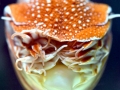 Chambered Nautilus