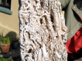 Naval Shipworm