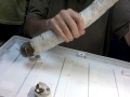 Naval Shipworm