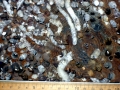 Naval Shipworm