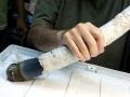 Naval Shipworm