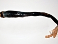 Naval Shipworm