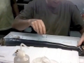 Naval Shipworm