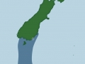 New Zealand Sea Lion