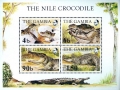 Nile Crocodile