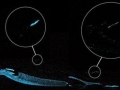 Ninja Lanternshark