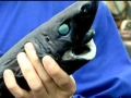 Ninja Lanternshark