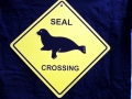 Northern Fur Seal