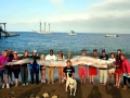 Oarfish