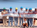 Oarfish
