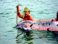 Oarfish