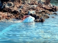 Oarfish