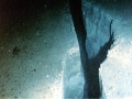 Ocean Depths