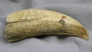 Scrimshaw from my private collection
