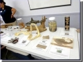 Ocean Treasures, the program table set-up