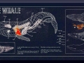 Student hand-outs during a typical program session:  BLUE WHALE BLUEPRINT