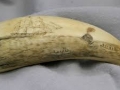Scrimshaw from my private collection