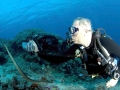 Olive Sea Snake