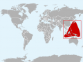 Omura's Whale