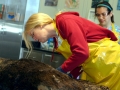 Pacific Sea Otter