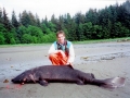 Pacific Sleeper Shark