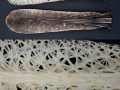 Paddlefish