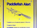 Paddlefish