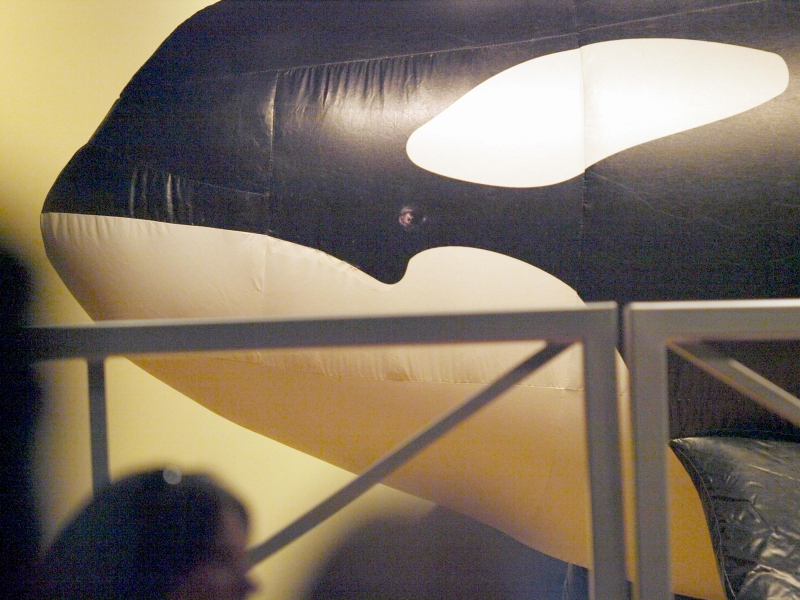 J26, Mike, NOAA's inflatable Killer Whale serves as an ambassador for the endangered Southern Resident Killer Whale recovery program.