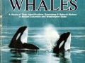 1st edition signed:  KILLER WHALES A Study of Their Identification, Genealogy & Natural History in British Columbia and Washington State