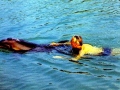Jacques-Yves Cousteau: Photos