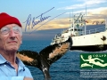 Jacques-Yves Cousteau: Photos
