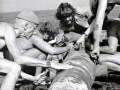Jacques-Yves Cousteau:  Photos