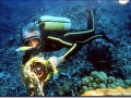 Jacques-Yves Cousteau:  Photos
