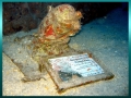 Jacques-Yves Cousteau:  Photos