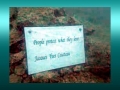 Jacques-Yves Cousteau:  Photos