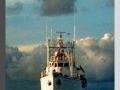 Jacques-Yves Cousteau:  Photos