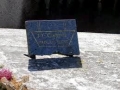 Jacques-Yves Cousteau:  Photos
