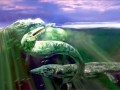 Pliosaurus