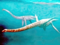 Pliosaurus