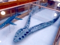 Pliosaurus