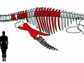 Pliosaurus