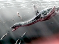 Pliosaurus