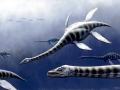 Pliosaurus