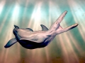 Pliosaurus