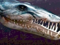 Pliosaurus