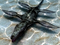 Pliosaurus