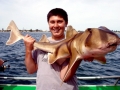 Port Jackson Shark