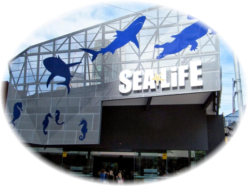 Sea Life - Melbourne Aquarium