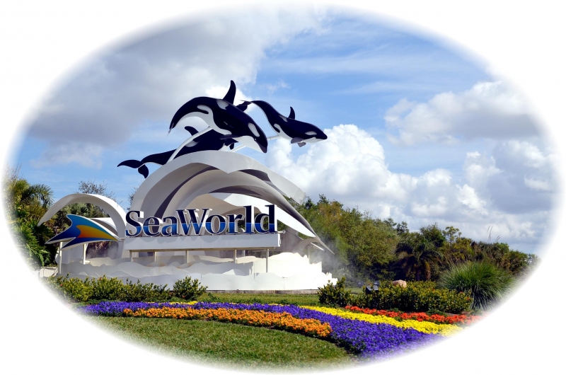 SeaWorld of Florida