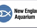New England Aquarium